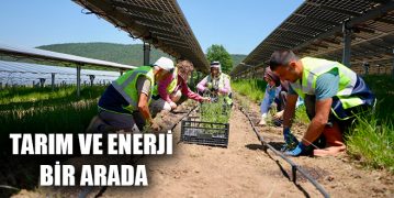 Tarım ve Enerji Bir Arada