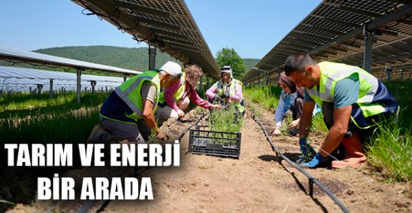 Tarım ve Enerji Bir Arada