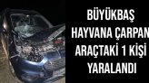 Büyükbaş Hayvana Çarpan Araçtaki 1 Kişi Yaralandı