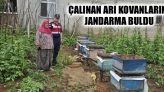 Çalınan Arı Kovanlarını Jandarma Buldu