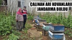 Çalınan Arı Kovanlarını Jandarma Buldu