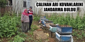 Çalınan Arı Kovanlarını Jandarma Buldu