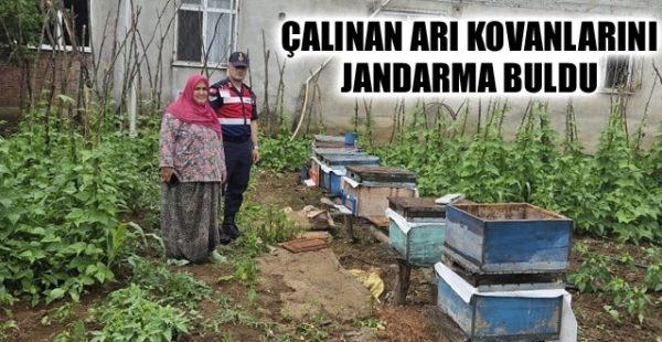 Çalınan Arı Kovanlarını Jandarma Buldu