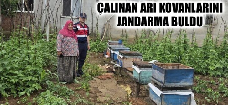 Çalınan Arı Kovanlarını Jandarma Buldu