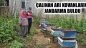 Çalınan Arı Kovanlarını Jandarma Buldu