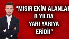 “Mısır Ekim Alanları 8 Yılda Yarı Yarıya Eridi!”