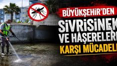 Büyükşehir’den Sivrisinek ve Haşerelere Karşı Mücadele