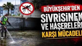 Büyükşehir’den Sivrisinek ve Haşerelere Karşı Mücadele