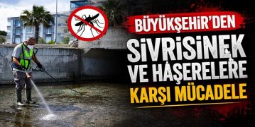 Büyükşehir’den Sivrisinek ve Haşerelere Karşı Mücadele