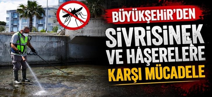 Büyükşehir’den Sivrisinek ve Haşerelere Karşı Mücadele
