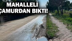Mahalleli Çamurdan Bıktı!
