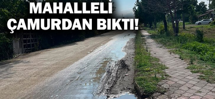 Mahalleli Çamurdan Bıktı!