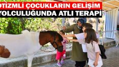 Otizmli Çocukların Gelişim Yolculuğunda Atlı Terapi