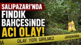 Salıpazarı’nda Fındık Bahçesinde Acı Olay!