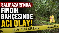 Salıpazarı’nda Fındık Bahçesinde Acı Olay!
