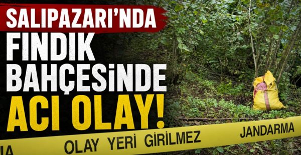 Salıpazarı’nda Fındık Bahçesinde Acı Olay!