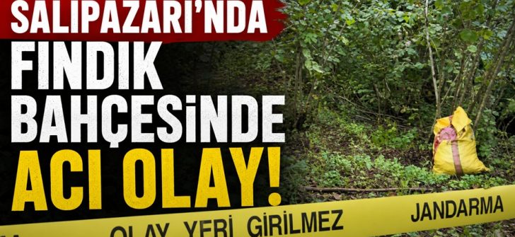 Salıpazarı’nda Fındık Bahçesinde Acı Olay!