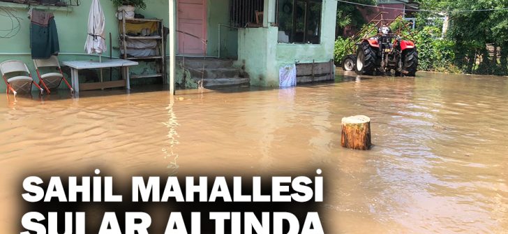 Sahil Mahallesi Sular Altında