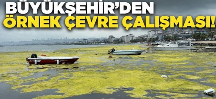 Büyükşehir’den Örnek Çevre Çalışması!