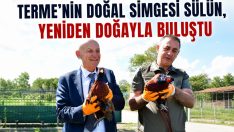 Terme’nin Doğal Simgesi Sülün, Yeniden Doğayla Buluştu