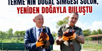 Terme’nin Doğal Simgesi Sülün, Yeniden Doğayla Buluştu